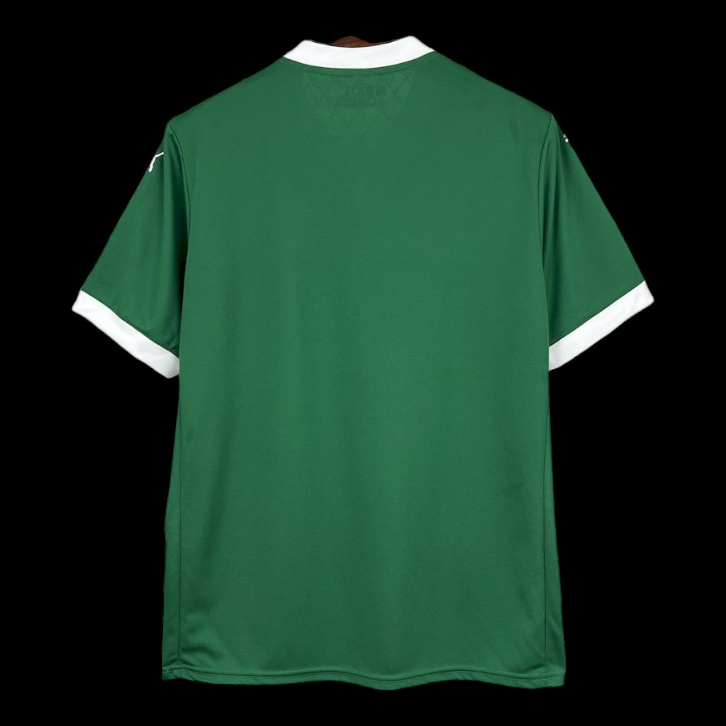 Palmeiras Maillot Domicile 25/26