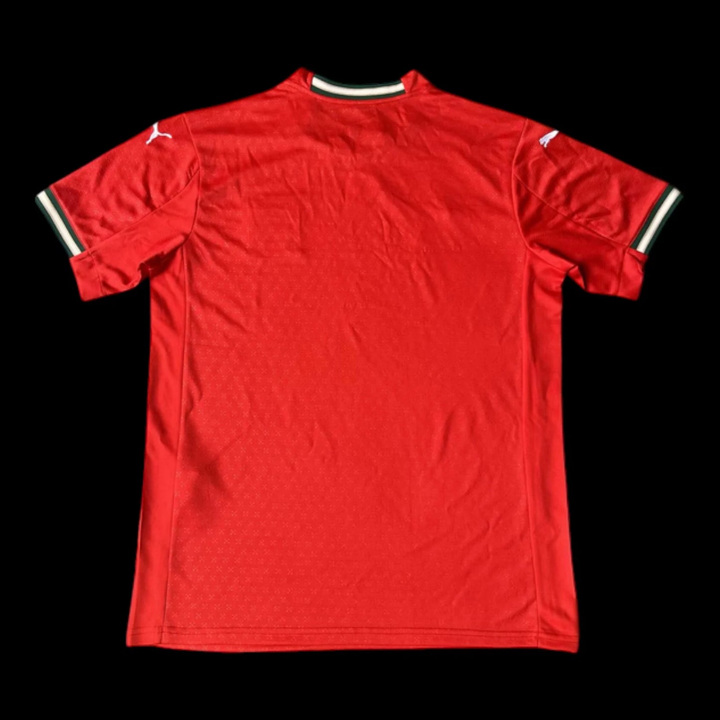 Portugal Maillot Domicile 25/26