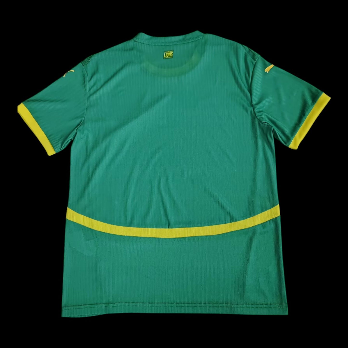 Sénégal Maillot Extérieur 25/26
