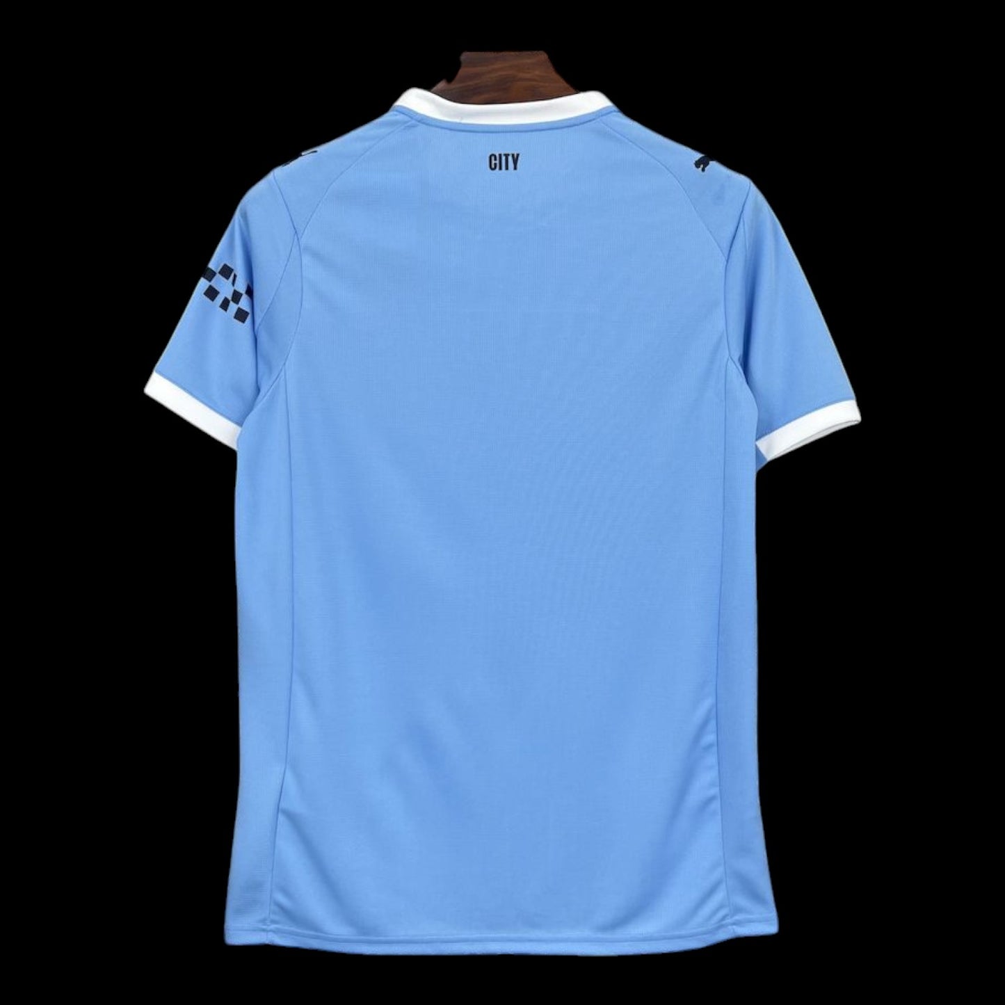 Palmeiras Maillot Gardien 25/26