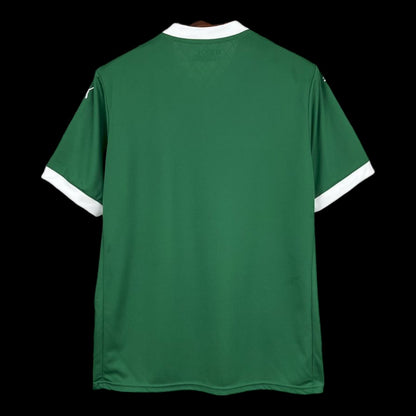 Palmeiras Maillot Domicile 25/26