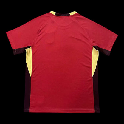 Chine Maillot Domicile 25/26