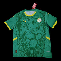 Sénégal Maillot Extérieur 25/26